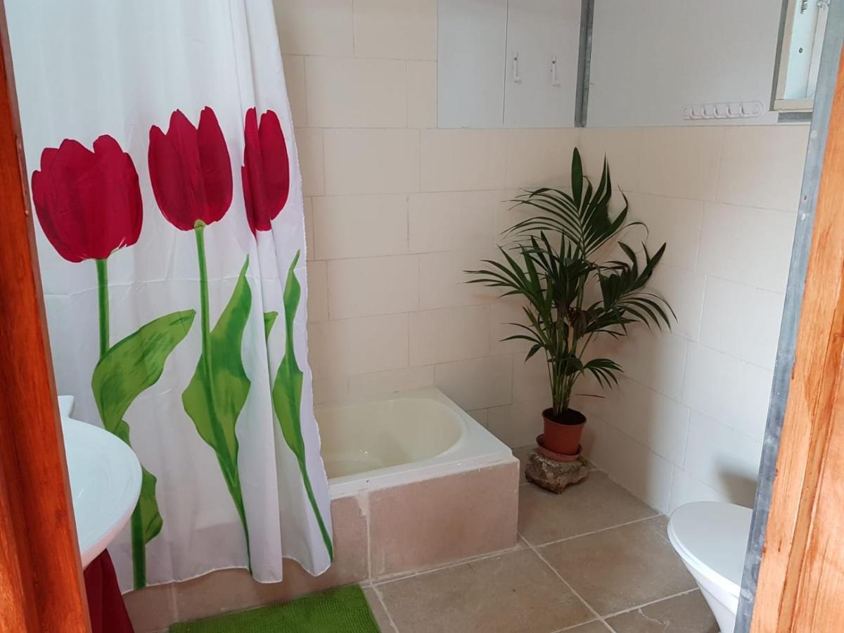 יורט מונגולי Apartment Matzuva Exterior photo